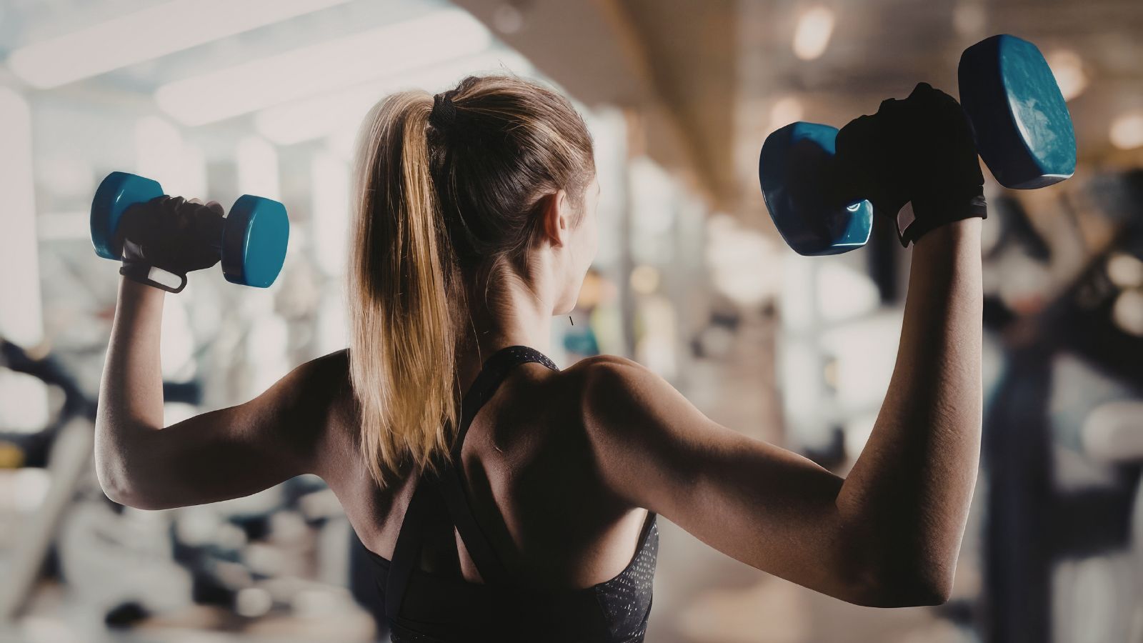 Best Gym Workout for Beginners: Simple 3-Day Full Body Plan