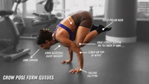 Calisthenics for Beginners: The Ultimate Step-by-Step Starting Guide